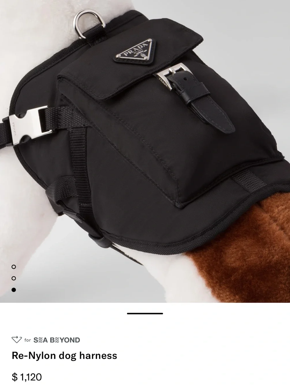 Prada Black Nylon Mini Backpack for pet with Silver Hardware